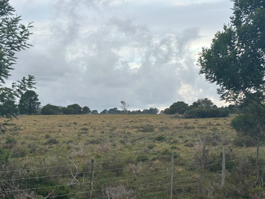 Commercial Property for Sale in Colleen Glen Eastern Cape